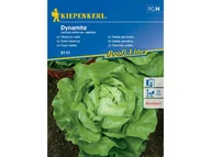 Nasiona i cebule - Sałata Głowiasta Dynamite Nasiona Kiepenkerl - miniaturka - grafika 1