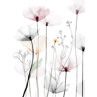 Obraz Canvas 60 x 80 C ST543 MODERN POPPY 1 - Obrazy i zdjęcia na płótnie - miniaturka - grafika 1