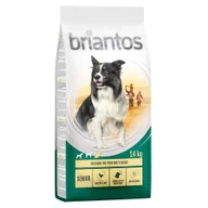 Sucha karma dla psów - Briantos Senior, z drobiem i ryżem - 14 kg - miniaturka - grafika 1