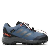 Buty trekkingowe dziecięce - Trekkingi adidas Terrex GORE-TEX Hiking IF5705 Niebieski - miniaturka - grafika 1