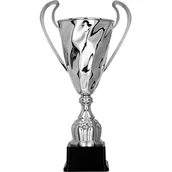Gadżety dla kibiców - Puchar metalowy srebrny - miniaturka - grafika 1
