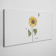 Obrazy i zdjęcia na płótnie - Obraz Canvas Kwiaty Rośliny 100x50cm - miniaturka - grafika 1