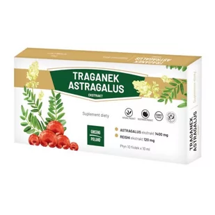 GINSENG POLAND Traganek Astragalus ekstrakt 10x10ml (fiolki) GINSENG POLAND - Zdrowa żywność - miniaturka - grafika 1