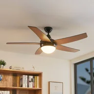 Wentylator sufitowy Lindby z oświetleniem Auraya, cichy, czarny