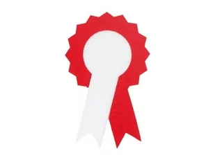 ZESTAW NARODOWY BIAŁO-CZERWONY 116-128 3el - Dresy i komplety dla dziewczynek - miniaturka - grafika 1