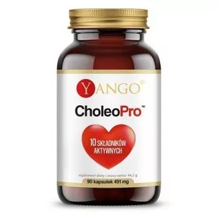 YANGO Yango Choleo Pro 90 Kaps. 491 Mg cholesterol YA0039 - Suplementy naturalne - miniaturka - grafika 1