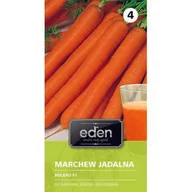 Nasiona i cebule - Marchew Bolero 1,5 g Eden - miniaturka - grafika 1