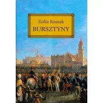 Bursztyny Zofia Kossak - Lektury szkoła podstawowa - miniaturka - grafika 1