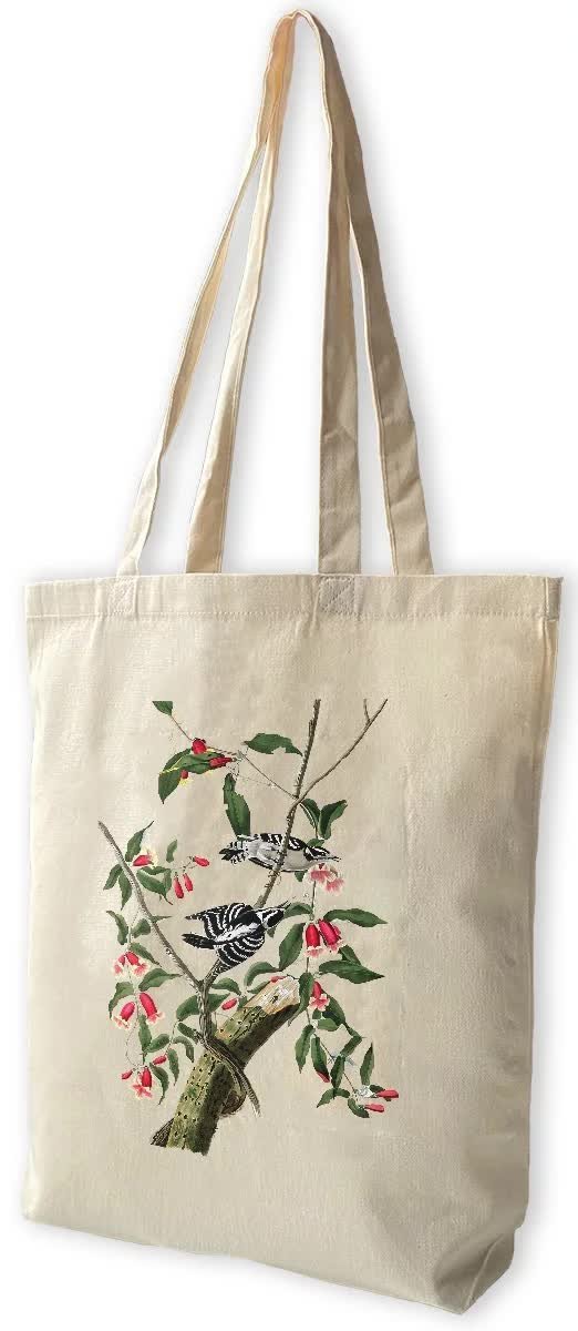 Torba bawełniana Downy Woodpecker James Audubon