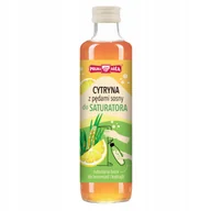 Syropy i koncentraty owocowe - POLSKA RÓŻA Syrop Cytryna z Pędami Sosny do Saturatora Lemoniada 250ml - miniaturka - grafika 1