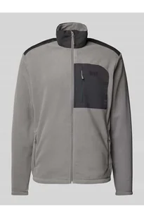 Kurtka z polaru ze stójką model DAYBREAKER - Helly Hansen - Kurtki i kamizelki sportowe męskie - miniaturka - grafika 1