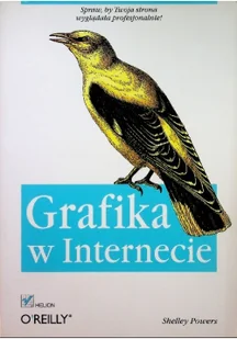 Grafika w internecie Używana - Sieci i serwery - miniaturka - grafika 2