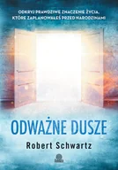 Poradniki psychologiczne - Robert Schwartz Odważne dusze Odkryj prawdziwe znaczenie życia które zaplanowałeś przed narodzinami - miniaturka - grafika 1