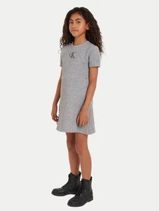 Calvin Klein Jeans Sukienka codzienna IG0IG02585 Szary Regular Fit - Sukienki i spódniczki dla dziewczynek - miniaturka - grafika 1