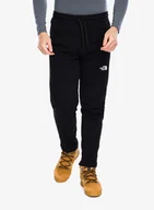 Spodnie narciarskie - Spodnie The North Face Standard Pant - tnf black - miniaturka - grafika 1