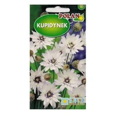 Nasiona i cebule - KUPIDYNEK biały na suche bukiety nasiona kwiatów 0,1g - miniaturka - grafika 1