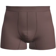 Majtki męskie - Męskie bokserki Icebreaker M Mer 125 ZoneKnit Boxers Rozmiar: M / Kolor: brązowy - miniaturka - grafika 1
