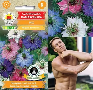 CZARNUSZKA DAMASCEŃSKA MIX KOLORÓW NASIONA - Nasiona i cebule - miniaturka - grafika 1