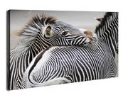 Obrazy i zdjęcia na płótnie - Zebra - obraz na płótnie Wymiar do wyboru: 30x20 cm - miniaturka - grafika 1