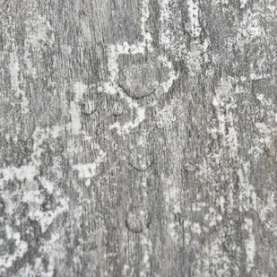 Samoprzylepne panele podłogowe, 20 szt., PVC, 1,86 m², beton 330122 VIDAXL - Panele podłogowe - miniaturka - grafika 11