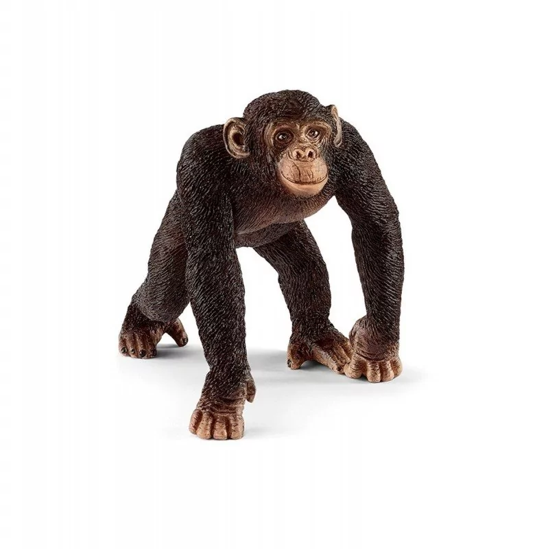 Schleich, Figurka kolekcjonerska, Szympans samiec