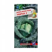 Nasiona i cebule - Kapusta włoska Vertus 2 nasiona 2g / O / - miniaturka - grafika 1