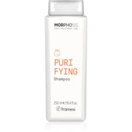 Szampony do włosów - Framesi Morphosis Purifying szampon oczyszczający przeciw łupieżowi 250 ml - miniaturka - grafika 1
