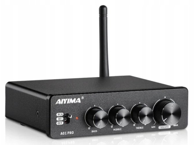 AIYIMA A01 Power Amplifier