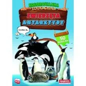 Kolorowanki, wyklejanki - Zwierzęta Antarktydy z naklejkami. Kolorowanka edu - miniaturka - grafika 1