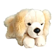 Zabawki interaktywne dla dzieci - Maskotka Pies Retriver Leżący Duży Pluszak 30cm Miękka Przytulanka Miś - miniaturka - grafika 1