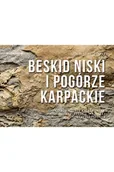 Przewodniki - PRZEWODNIK WSPINACZKOWY BESKID NISKI I POGÓRZE KARPACKIE - miniaturka - grafika 1