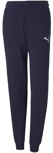 Spodnie dla dzieci Puma spodnie teamGOAL 23 Casuals Pants Jr granatowe 656713 06-128 - Spodnie męskie - miniaturka - grafika 1
