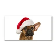 Naklejki na drzwi i meble - Obraz Canvas Bulldog Pies Święta - miniaturka - grafika 1