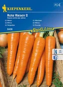 Nasiona i cebule - Kiepenkerl Marchew Rote Riesen Kiepenkerl 102606 - miniaturka - grafika 1