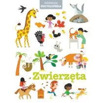 Wilga GW Foksal Zwierzęta - Wilga - Encyklopedie i leksykony - miniaturka - grafika 1