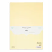 Podobrazia, bloki, papiery - ZESTAW PAPIERÓW A4 220G 20 ARKUSZY ECRU DPCRAFT - miniaturka - grafika 1