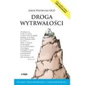 Religia i religioznawstwo - Przybylski Jakub Droga wytrwałości - miniaturka - grafika 1