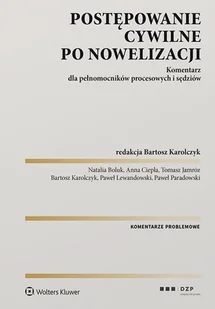 Postępowanie cywilne po nowelizacji - Prawo - miniaturka - grafika 1