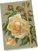 Notesy i bloczki - Notatnik ozdobny A5 STNOTE 142 Żółte róże - miniaturka - grafika 1