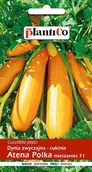 Nasiona i cebule - NASIONA Dynia Zwyczajna Cukinia Atena Polka 2g PLANTICO 401723 - miniaturka - grafika 1