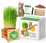 Nasiona i cebule - Zestaw do uprawy TRAWA DLA KOTA odkłaczająca - miniaturka - grafika 1