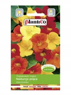 Nasiona i cebule - Plantico Nasturcja większa mix - miniaturka - grafika 1