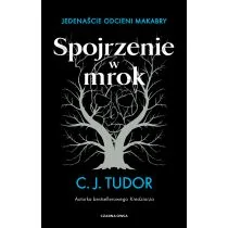 Spojrzenie w mrok - Horror, fantastyka grozy - miniaturka - grafika 1