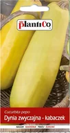 Nasiona i cebule - NASIONA Dynia Zwyczajna Kabaczek Złoty Cepelin 2g PLANTICO 401976 - miniaturka - grafika 1