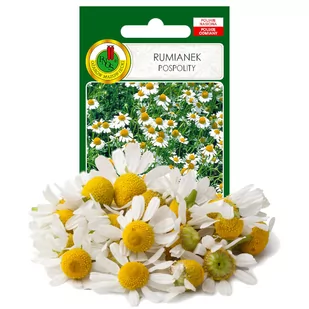 RUMIANEK POSPOLITY ZIOŁA NASIONA ZIÓŁ BEZ GMO - Nasiona i cebule - miniaturka - grafika 1