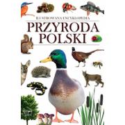 Nauki przyrodnicze - Arti Przyroda Polski - miniaturka - grafika 1