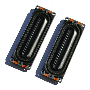 Dla Samsung UA46C7000WF Ua55C7000WF Ua55C8000 Głośnik TV Bn96-12943C Bn96-12943B UE40C7000 Bn96-12943A UE46C7000 UE55C7000 2 PCS - Inne akcesoria audio-wideo - miniaturka - grafika 1