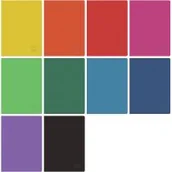 Zeszyty szkolne - Herlitz Zeszyt B5/96K kratka Rainbow Classic (5szt) - - miniaturka - grafika 1