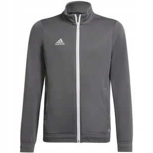 Adidas Bluza Dziecięca Entrada 22 jtk dres- 164cm - Bluzy dla dziewczynek - miniaturka - grafika 1