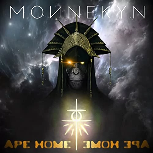 Ape Home Grey 45x45